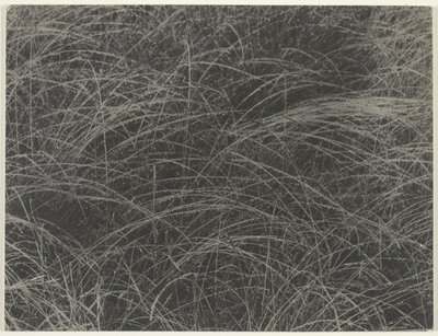 Likvärdig av Alfred Stieglitz