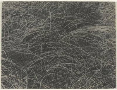 Motsvarande, 1927. av Alfred Stieglitz