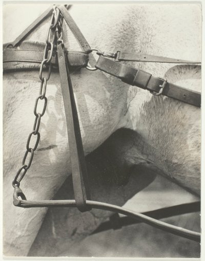 Motsvarande, Spiritual America av Alfred Stieglitz