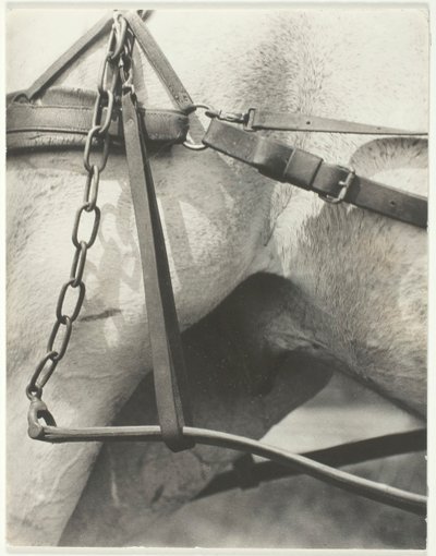Equivalent, Spiritual America, 1923. av Alfred Stieglitz