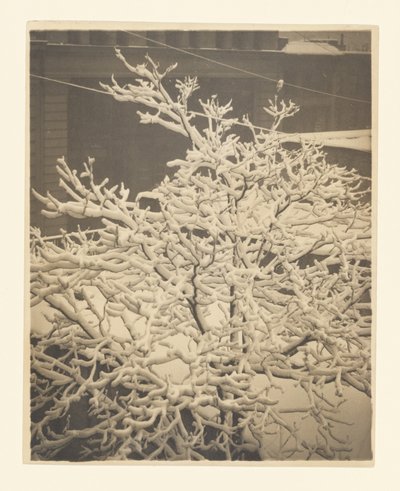 Från bakfönstret i 291 av Alfred Stieglitz