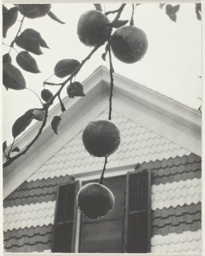 Gavel och äpplen av Alfred Stieglitz