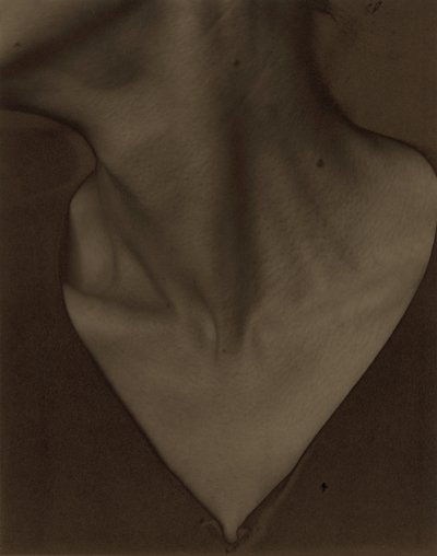 Georgia O’Keeffe – Hals av Alfred Stieglitz