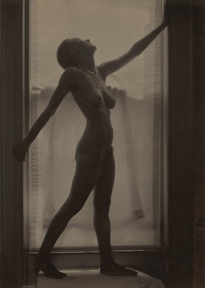 Georgia O’Keeffe av Alfred Stieglitz
