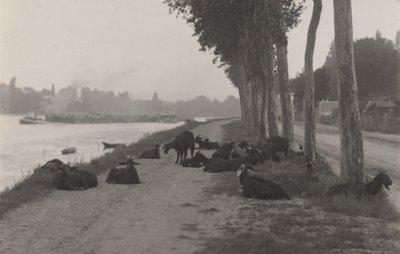 Getter utanför Paris av Alfred Stieglitz