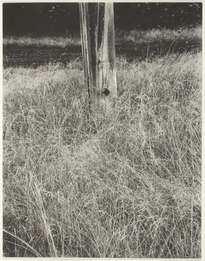Gräs och flaggstång av Alfred Stieglitz