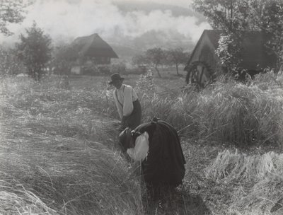 Skörd, Schwarzwald av Alfred Stieglitz