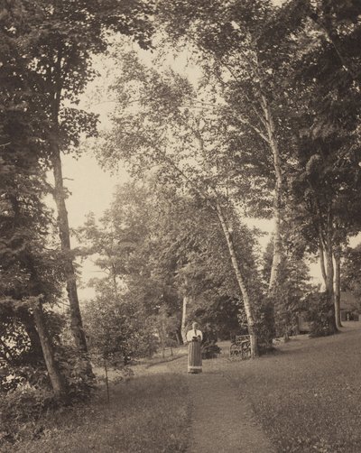 Hedwigs stig, Oaklawn, Lake George av Alfred Stieglitz