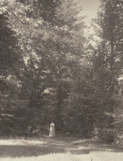 ”Hedwigsweg” II, Lake George av Alfred Stieglitz