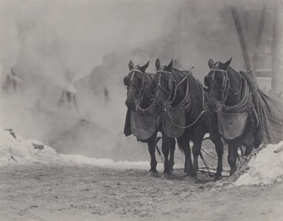 Hästar, New York av Alfred Stieglitz