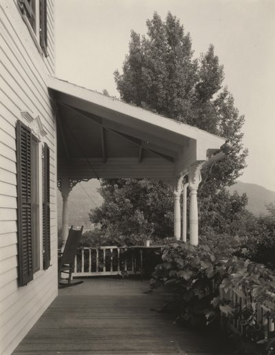 Hus, löv och träd av Alfred Stieglitz