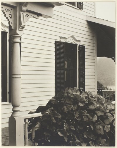 Hus och druvblad av Alfred Stieglitz