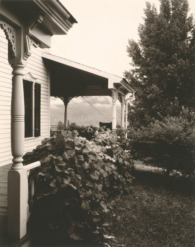 Hus och druvblad av Alfred Stieglitz