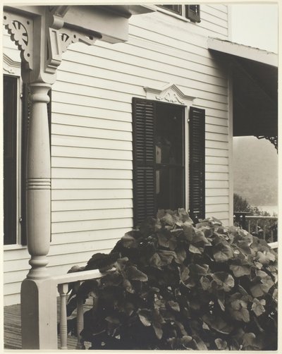Hus och druvblad, 1934. av Alfred Stieglitz