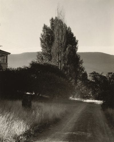 Hus och popplar, Lake George av Alfred Stieglitz