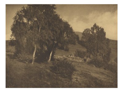 [Landskap, Tyrolen] av Alfred Stieglitz