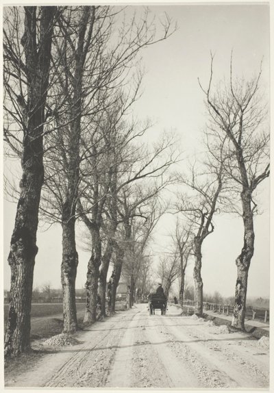 novemberdagar av Alfred Stieglitz