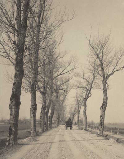 Novemberdagar av Alfred Stieglitz