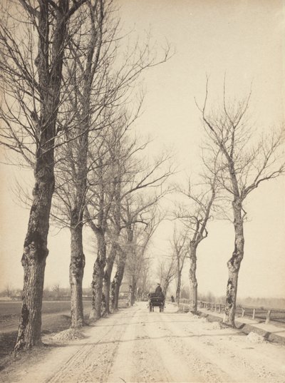 Novemberdagar av Alfred Stieglitz