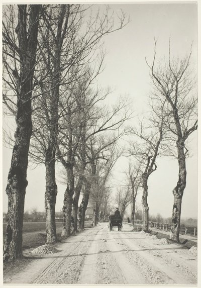 Novemberdagar, 1887, tryckt 192039. av Alfred Stieglitz
