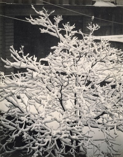 Utanför fönstret - 291 - N.Y. av Alfred Stieglitz