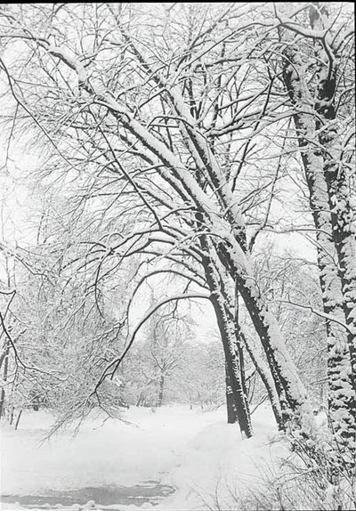 Snowscape, Berlin, 188892. av Alfred Stieglitz