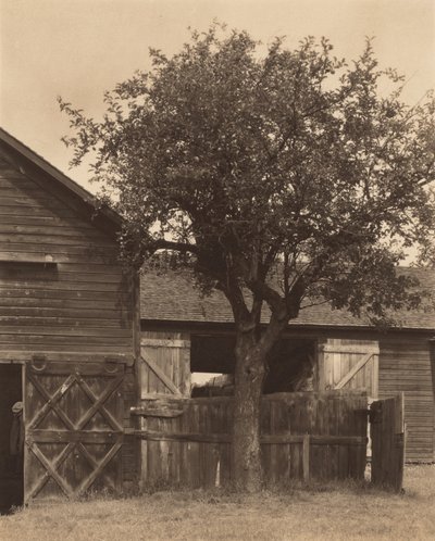 Ladan av Alfred Stieglitz