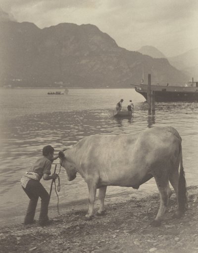 Det ofrivilliga badet av Alfred Stieglitz