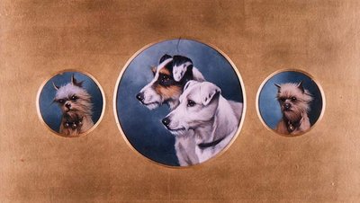 Foxterrier och Yorkshireterrier av Alfred Wheeler