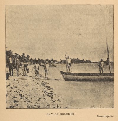 Doloresbukten av Alice Dixon Le Plongeon