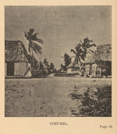 Cozumel av Alice Dixon Le Plongeon