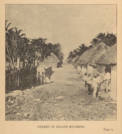 Gata i Isla Mujeres av Alice Dixon Le Plongeon