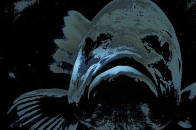 Tyrann von Alice Gur-Arie