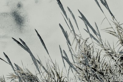Harvest, 2017 (handmålat fotografi) av Alice Gur-Arie