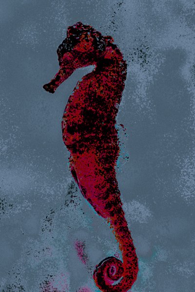 Seepferdchen von Alice Gur-Arie