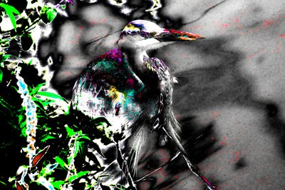 Nach den Blinden, 2013 von Alice Gur-Arie