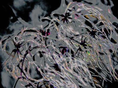 Landleben von Alice Gur-Arie