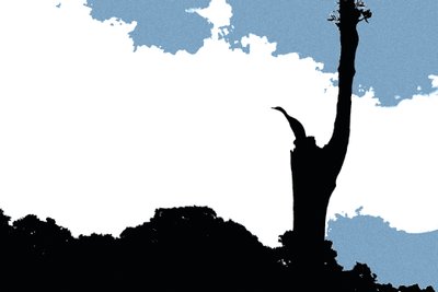 Eintreten in Periyar von Alice Gur-Arie