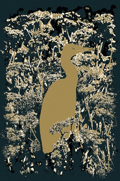 Königlicher Reiher von Alice Gur-Arie