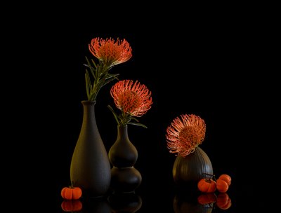  av Alice Sheng