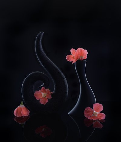  av Alice Sheng