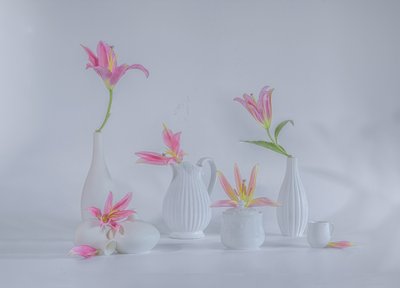  av Alice Sheng