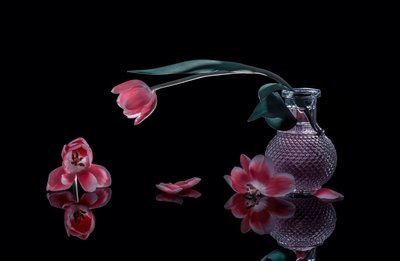  av Alice Sheng