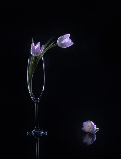  av Alice Sheng