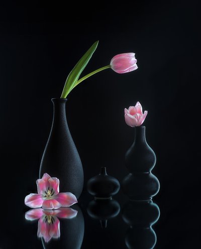  av Alice Sheng