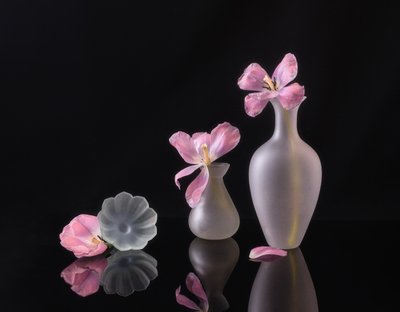  av Alice Sheng