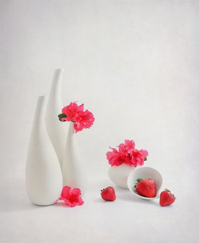  av Alice Sheng