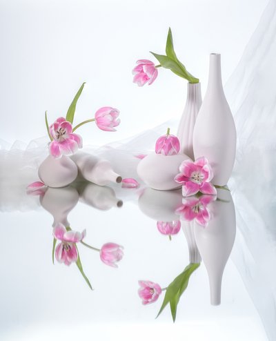  av Alice Sheng