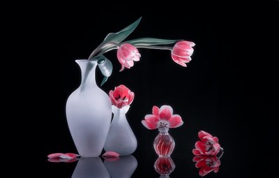  av Alice Sheng