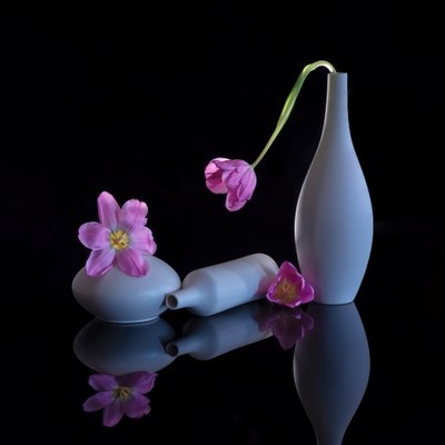  av Alice Sheng
